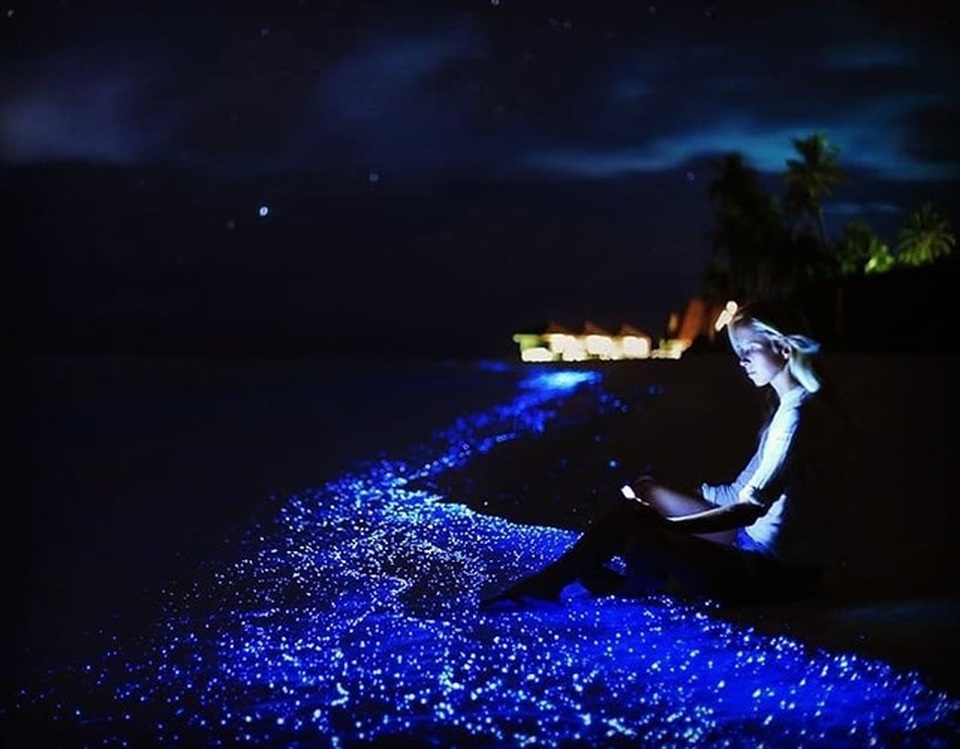 Chiêm ngưỡng những cảnh đẹp siêu thực như ở ngoài hành tinh - 20 Đảo Vaadhoo ở Maldives được bao quanh bởi một biển sao phát sáng nhờ vào một loại thực vật phù du nào đó.