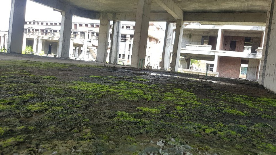 Lạnh người bên trong siêu dự án 2 tỷ đô ở xứ Lạng - 6 Rêu lên xanh tầng mái bê tông bỏ hoang nhiều năm