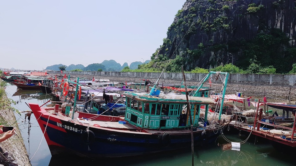 Tàu tuyền đã vào neo đậu trành trú bão tại khu bến Do, TP. Cẩm Phả, Quảng Ninh
