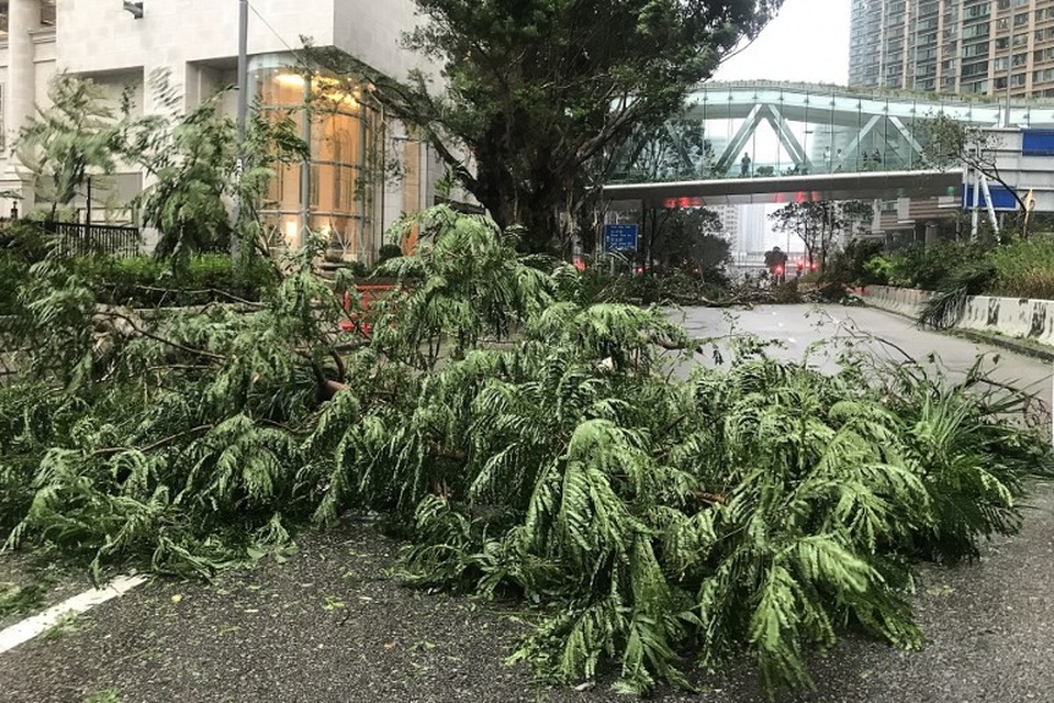 Hong Kong tan hoang sau siêu bão mạnh nhất thế giới - 7 Hơn 200 người đã được đưa tới các bệnh viện cấp cứu khi bão Mangkhut càn quét Hong Kong, tuy nhiên việc cấp cứu gặp nhiều khó khăn do các phương tiện gặp trở ngại trong quá trình di chuyển. (Ảnh: Reuters)