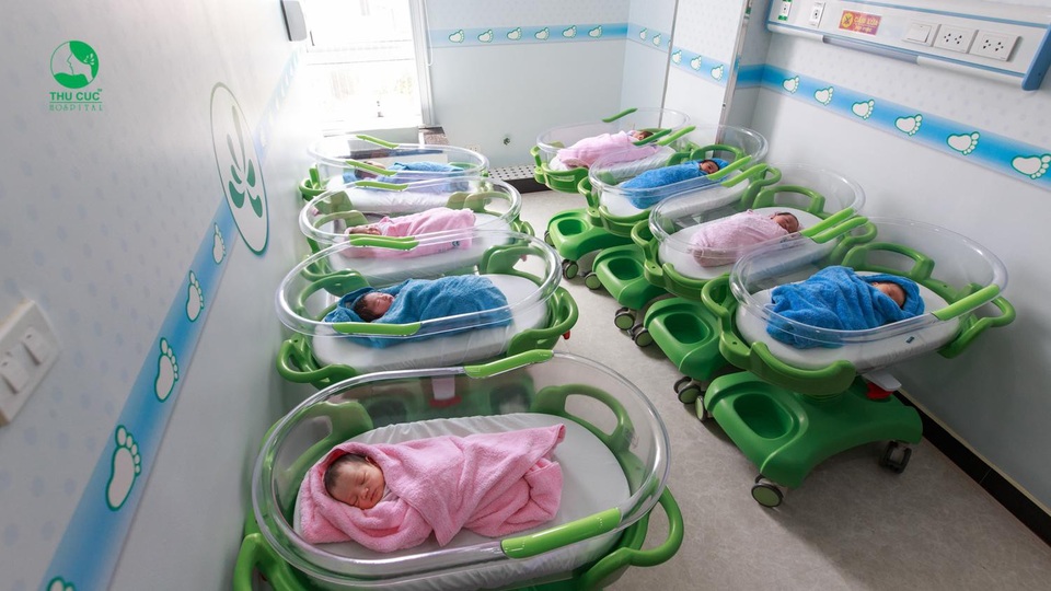 “Phát cuồng” với Hội cún con “siêu đáng yêu” tại BV Quốc tế - 1 “Phát cuồng” với Hội cún con “siêu đáng yêu” tại BV Quốc tế - 1