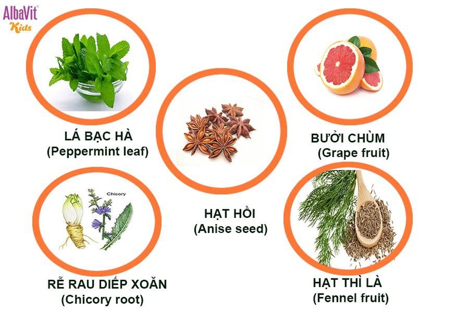 Tuyệt chiêu đánh bay biếng ăn ở trẻ của các mẹ châu Âu - 3 Các loại thảo dược được người châu Âu sử dụng giúp ăn ngon và điều trị các vấn đề về tiêu hóa