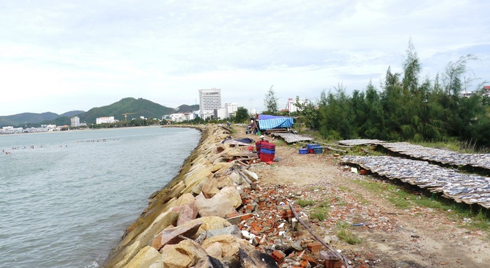 Bí thư Tỉnh ủy yêu cầu vét đất đá đã đổ xuống biển Quy Nhơn - 5 Xung quanh khu vực lấn biển được rào chắn nhưng bên trong để cỏ cây mọc và một số hộ làm sân phơi thủy hải sản.
