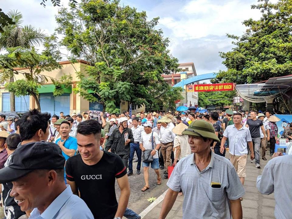 Biển người đội mưa xem các ông trâu "đấu vật" - 2 Từ sớm dòng người đã ùn ùn kéo về sân vận động trung tâm Đồ Sơn