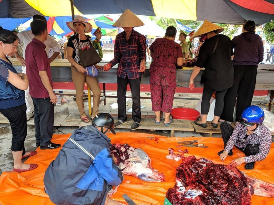 Biển người đội mưa xem các ông trâu "đấu vật" - 13
Những hình ảnh phản cảm, nhếch nhác tại phía ngoài sân khi trận đấu giữa các trâu vừa mới diễn ra vài kháp thì trâu đã được giết mổ