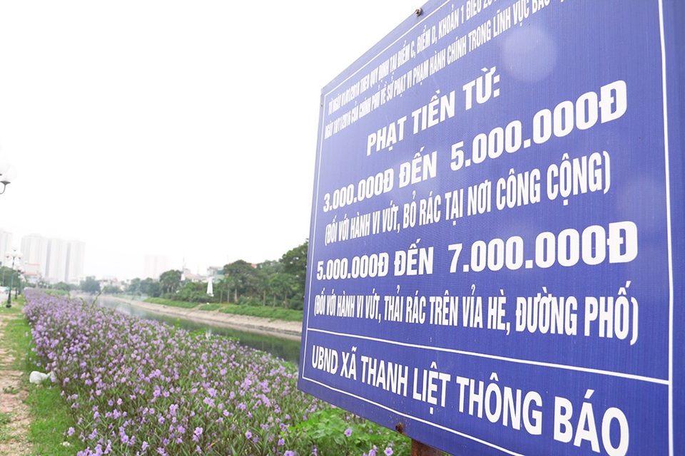 Bất ngờ với đường hoa tím bên bờ sông Tô Lịch - 8
Một bảng lớn với nội dung quy định về bảo vệ môi trường, nghiêm cấm việc vứt rác nơi công cộng, nếu vi phạm thì sẽ bị xử phạt nặng.