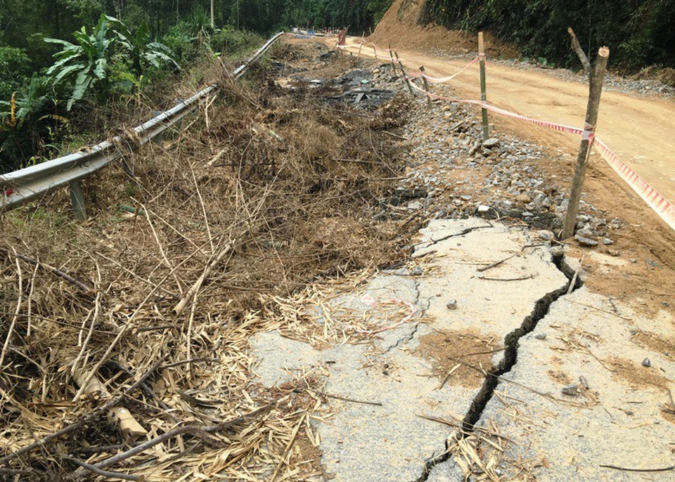 Quốc lộ gần 100 triệu USD vỡ toác: Có phải hoàn toàn do mưa lũ? - 4 Một vị trí sụt lún, nứt nẻ được phủ kín bởi cây cối