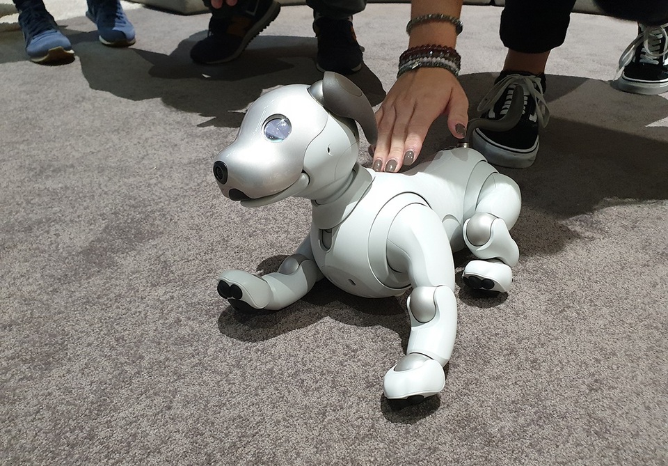 Chú chó robot AIBO "hồi sinh" hút khách xem tại triển lãm IFA 2018 - 2 Chú chó robot AIBO "hồi sinh" hút khách xem tại triển lãm IFA 2018 - 2