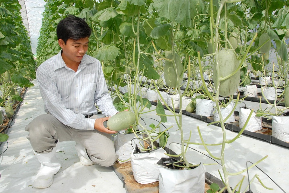 Hàng chục nghìn tỷ đồng đổ vào đầu tư, phát triển An Giang - 2 Tại hội nghị lần này, An Giang tập trung phát triển vào 5 lĩnh vực: nông nghiệp; thương mại - dịch vụ - du lịch; công nghiệp; xây dựng - đô thị; y tế với tổng số vốn đăng ký đầu tư trên 27.000 tỷ đồng