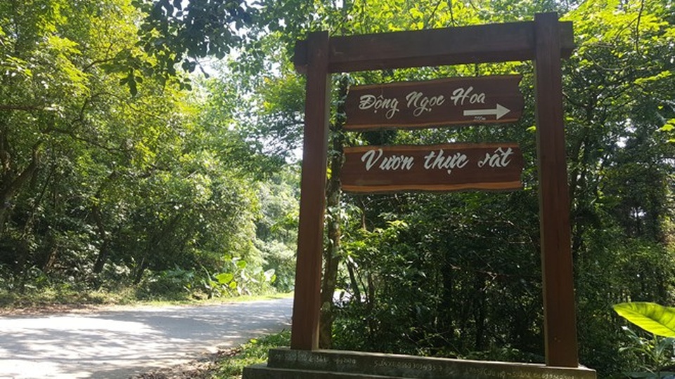 
Động Ngọc Hoa trở thành điểm thu hút của rất nhiều khách du lịch.
