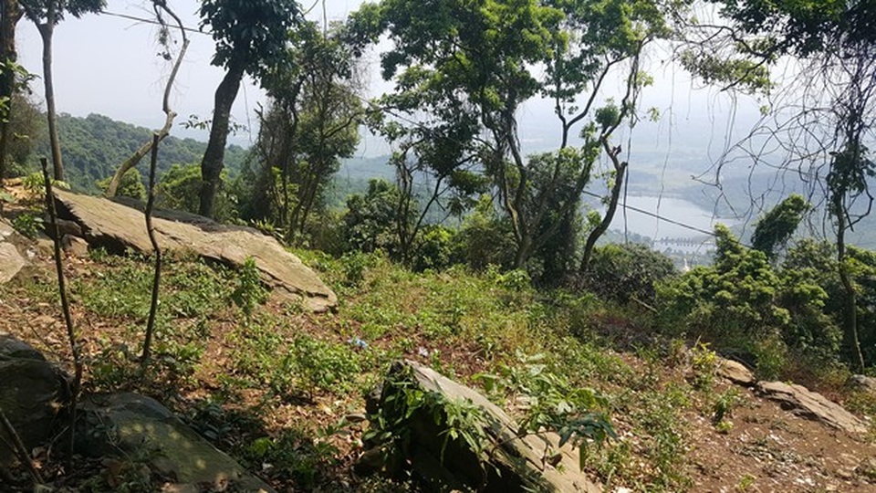 
Khu vực mà ông Thân cho rằng có nhiều vàng sa khoáng.
