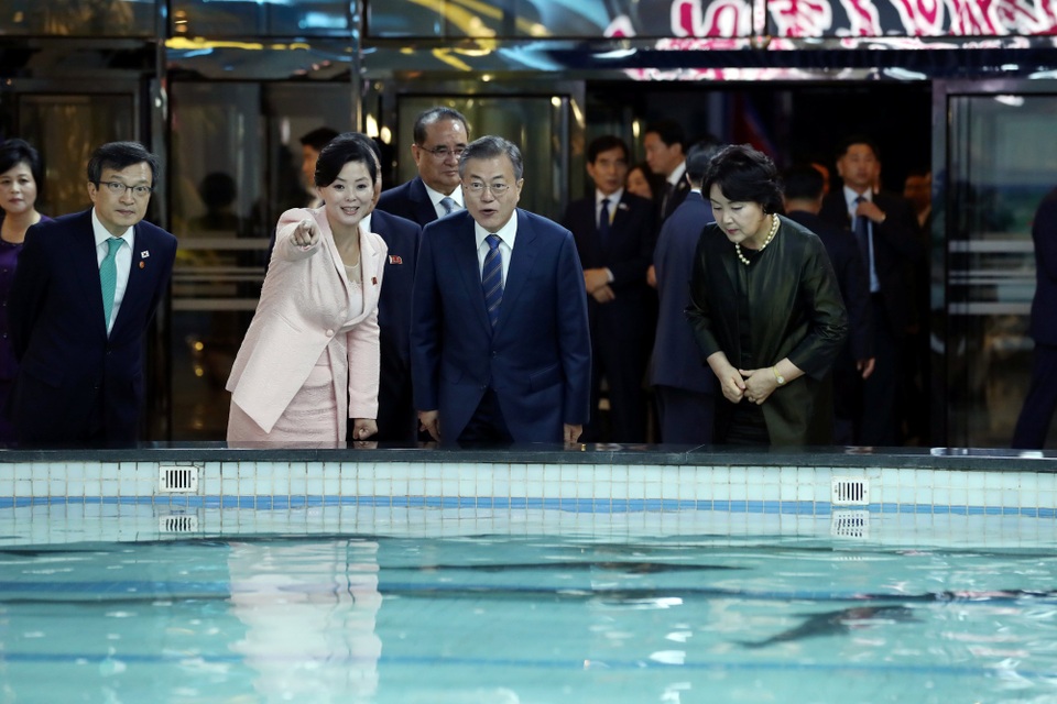 Tổng thống Hàn Quốc ăn hải sản tại nhà hàng “tâm huyết” của ông Kim Jong-un - 4 Tổng thống Moon Jae-in và phu nhân tham quan bể cá tại nhà hàng hải sản sông Taedong. Trước đó, văn phòng tổng thống Hàn Quốc đã đề nghị Triều Tiên chọn một nơi được nhiều người dân địa phương yêu thích để Tổng thống Moon Jae-in có thể ghé thăm khi tới Bình Nhưỡng.