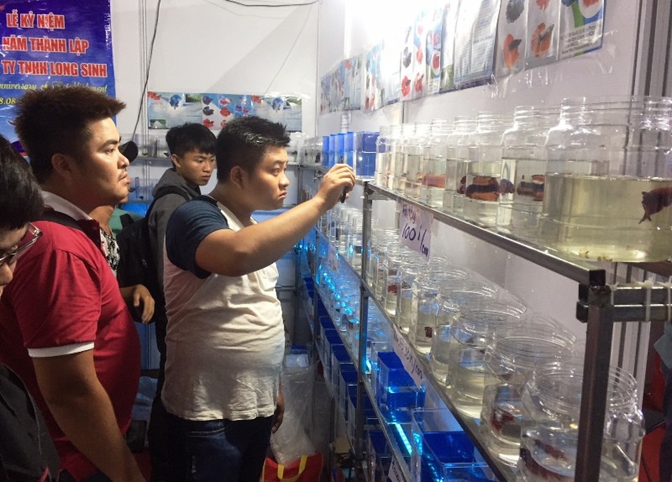 Lạ mắt với cá “xăm mình”, giá 800.000 đồng/con - 4 Nhiều vị khách đến tham quan ngày hội cá cảnh. Ảnh: Đại Việt