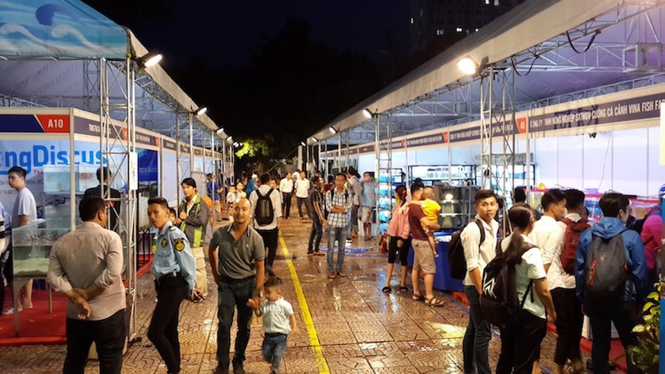 Lạ mắt với cá “xăm mình”, giá 800.000 đồng/con - 1 Lạ mắt với cá “xăm mình”, giá 800.000 đồng/con - 1