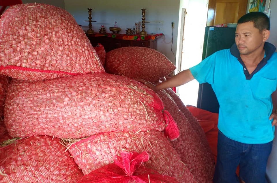 Tỏi được mùa nhưng giá thấp nên người dân Khánh Hòa trữ lại chờ giá lên nhưng giá vẫn không lên và tồn đọng hàng trăm tấn