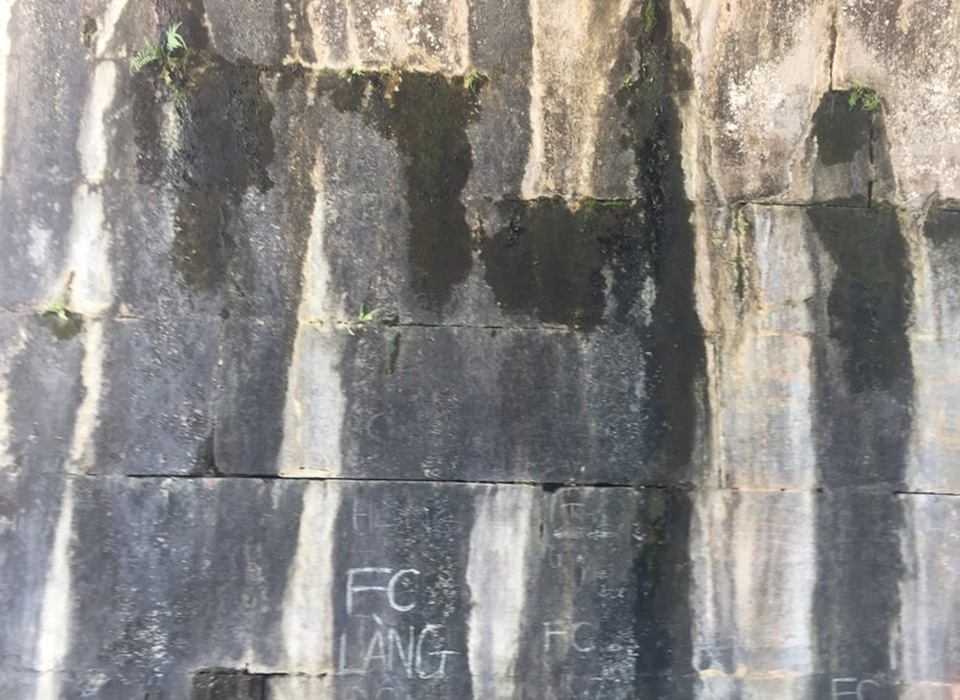 Các tác nhân gây hại như muối, rêu mốc, địa y, các vết bùn đất, ký tự do trẻ em vẽ lên bề mặt cổng thành đã xuất hiện từ lâu.