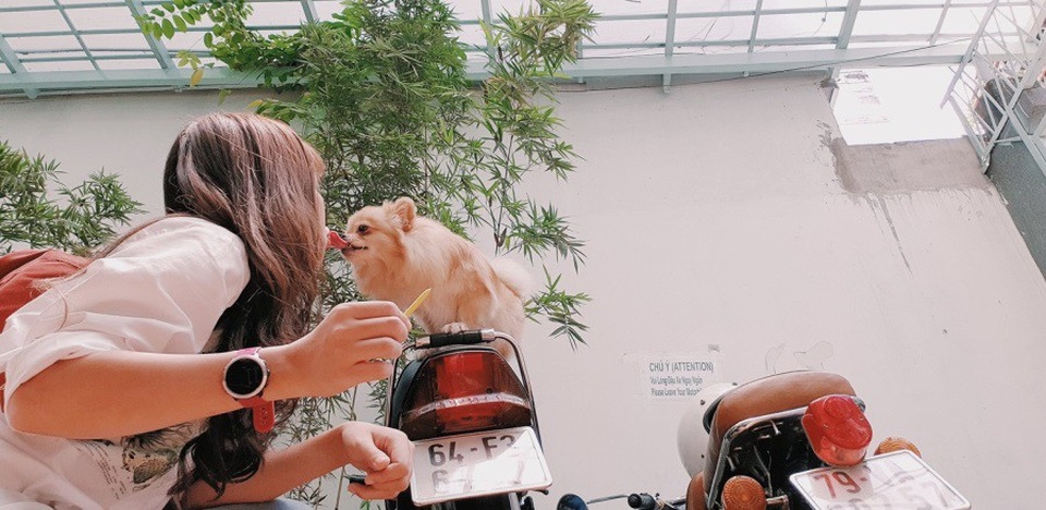 Giới trẻ thoả sức sáng tạo với trào lưu chụp ảnh bằng S Pen - 1 Bút ảnh gia, trào lưu của những tâm hồn sáng tạo và yêu thích sự mới mẻ