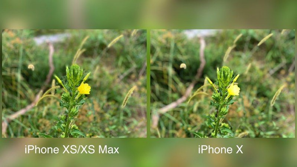 Ảnh chụp trên iPhone XS khác thế nào so với iPhone X - 2 Ảnh chụp trên iPhone XS khác thế nào so với iPhone X - 2