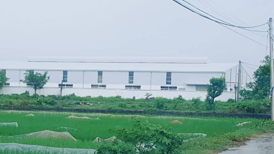 Làm ngơ cho 3 nhà máy "mọc" trái phép, chủ tịch xã mất chức - 1 Cả 3 nhà máy qui mô cỡ lớn như thế này đều được xây trái phép trên đất công ích của xã.