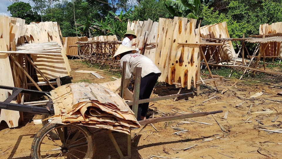 Xưởng sản xuất gỗ “3 không” mọc lên như nấm, chính quyền có làm ngơ? - 23 Người lao động thời vụ vẫn còn đó những tiềm ẩn tai nạn lao động.