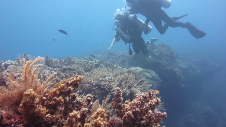 Từ đầu năm 2018, huyện đảo Lý Sơn bắt đầu tổ chức hoạt động lặn ngắm vòm đá núi lửa dưới đáy biển đảo Bé. Tại đây, du khách được hướng dẫn lặn chiêm ngưỡng khung cảnh kỳ thú của vòm đá với quy trình nghiêm ngặt để đảm bảo an toàn.