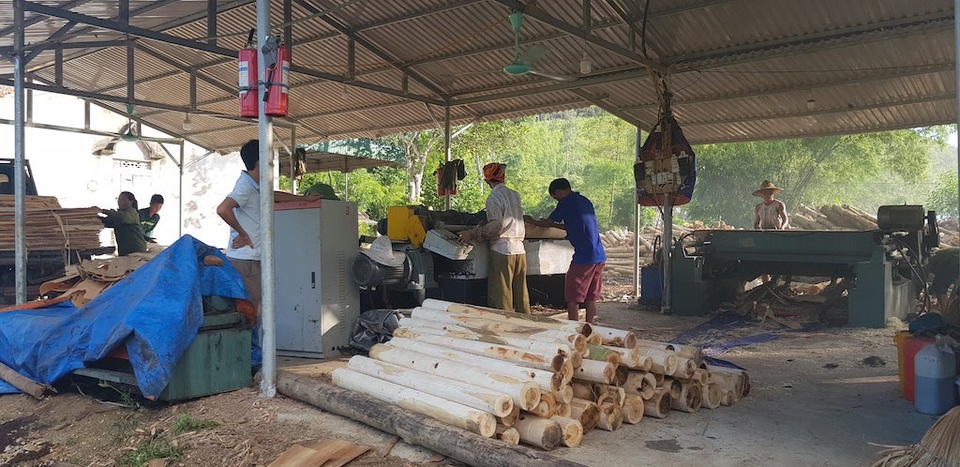 Xưởng sản xuất gỗ “3 không” mọc lên như nấm, chính quyền có làm ngơ? - 2 Xưởng sản xuất gỗ “3 không” mọc lên như nấm, chính quyền có làm ngơ? - 2