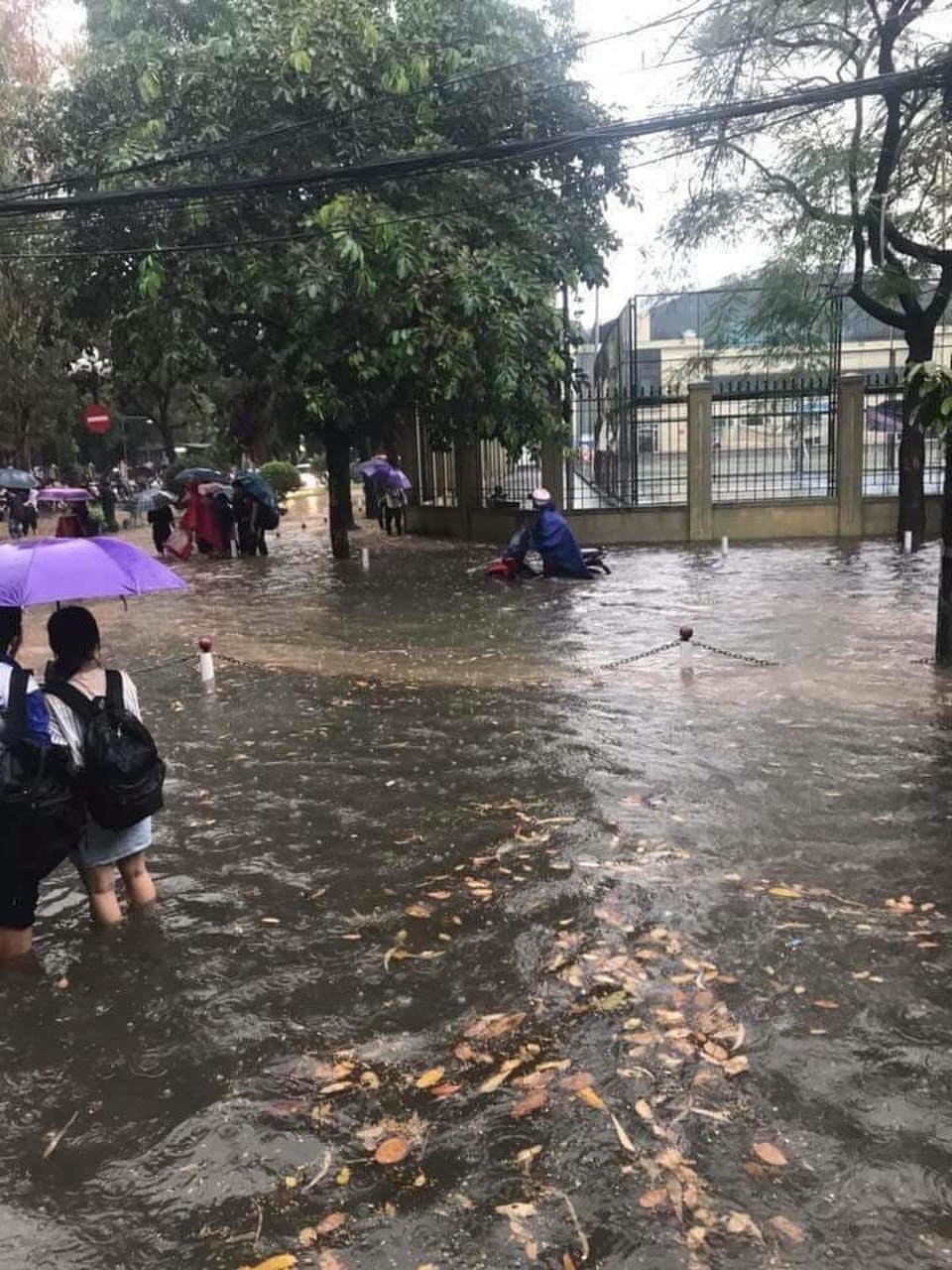 Ngập nước, tắc đường khắp Hà Nội sau cơn mưa lớn cuối chiều - 11 Khu vực tại Trường THPT Chuyên ngoại ngữ (Dịch Vọng Hậu, Cầu Giấy, Hà Nội).