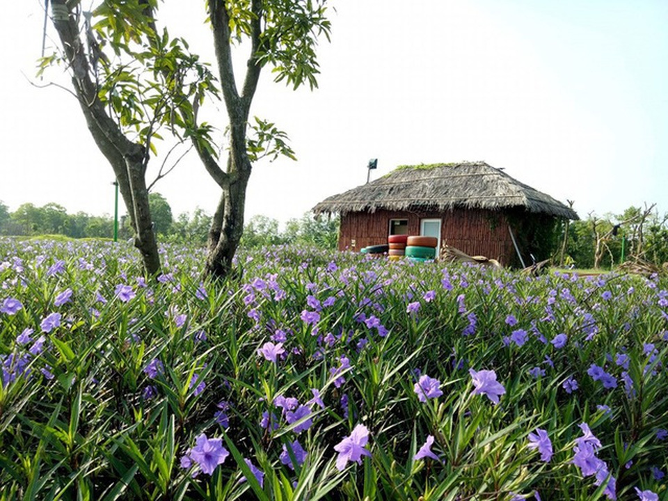 5 địa điểm du lịch mới tinh giới trẻ đang ‘săn lùng’ - 8 5 địa điểm du lịch mới tinh giới trẻ đang ‘săn lùng’ - 8