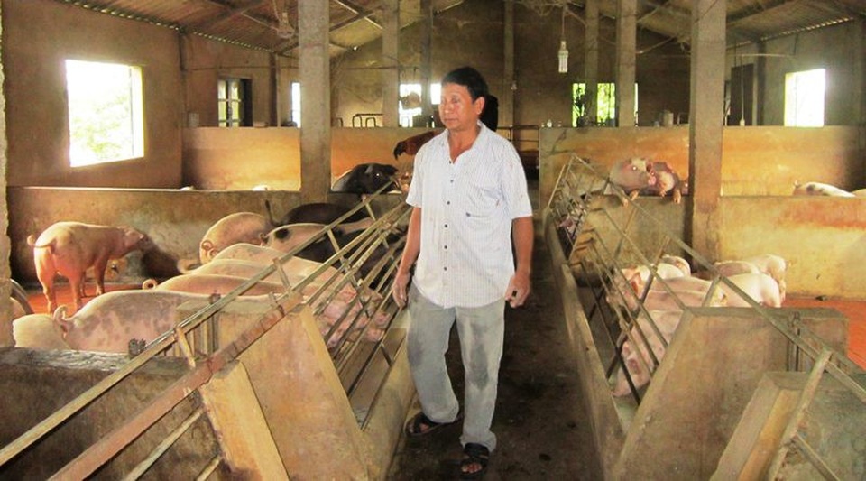 Buộc thôi việc cán bộ xã có nhiều sai phạm nhận tiền của người chăn nuôi tại Quảng Trị - 1 Người chăn nuôi phản ánh ông Dũng có nhận tiền lót tay khi làm hồ sơ hỗ trợ chăn nuôi.