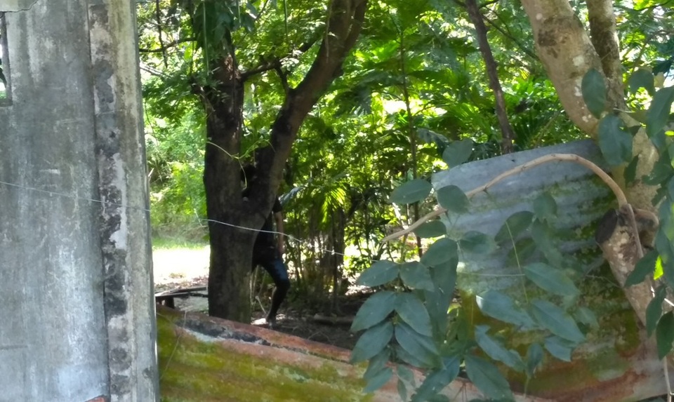 Phát hiện một thi thể đang phân hủy treo trên cây - 1 Người dân hốt hoảng khi phát hiện thi thể một người đàn ông treo cổ chết trên cây mấy ngày qua
