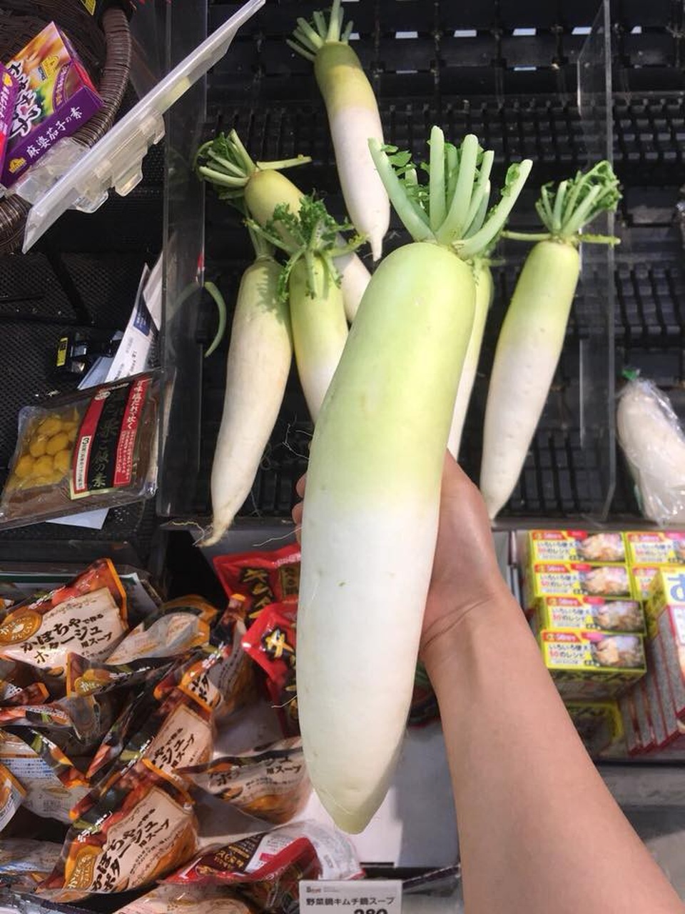 
Củ cải Nhật đang được giới nhà giàu Việt chuộng mua về ăn dù giá lên tới 250.000 đồng/kg (ảnh: Khuc Ngoc Anh)
