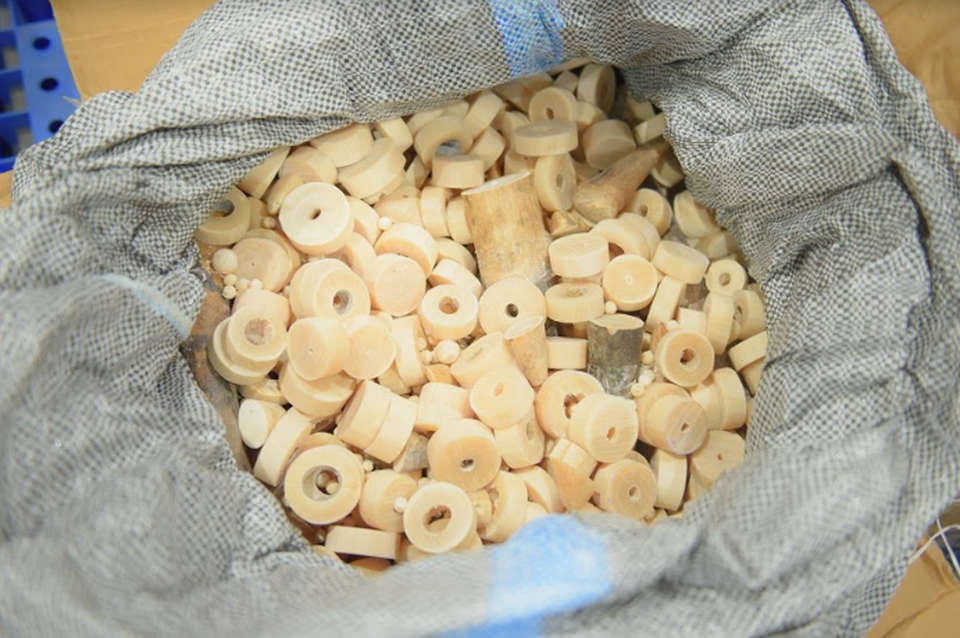 Bắt giữ gần 1 tấn ngà voi và vẩy tê tê tại cảng hàng không Nội Bài - 3 Số vòng của ngà voi trị giá lớn bị bắt giữ