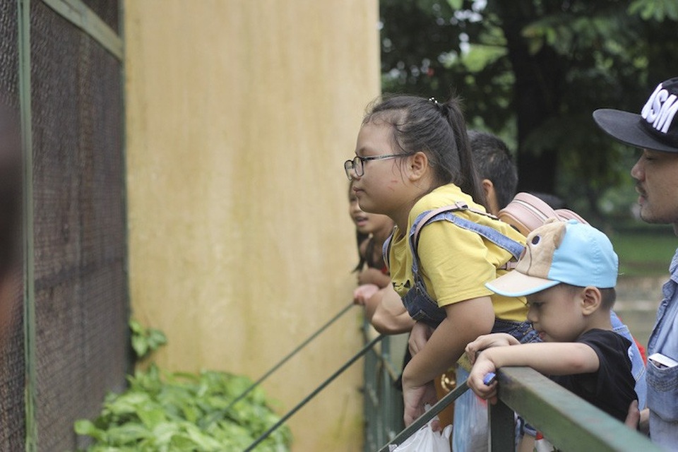 Hà Nội: Hơn 7 vạn du khách đổ về vườn thú, 21 trẻ em lạc mẹ được giao cho gia đình! - Ảnh 1. Hà Nội: Hơn 7 vạn du khách đổ về vườn thú, 21 trẻ em lạc mẹ được giao cho gia đình! - Ảnh 1.