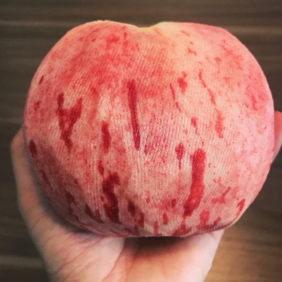 
Có quả đào tiên nặng tới 1kg
