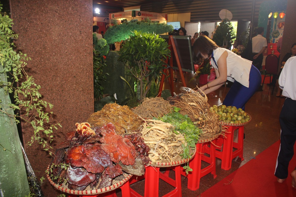Kon Tum: Triển lãm sâm Ngọc Linh và hàng trăm dược liệu khác - 3 Nhiều cây dược liệu quý khách cũng được mang đến triển lãm