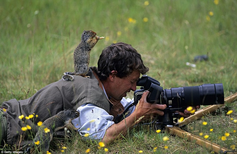 Hai chú sóc nghịch ngợm.