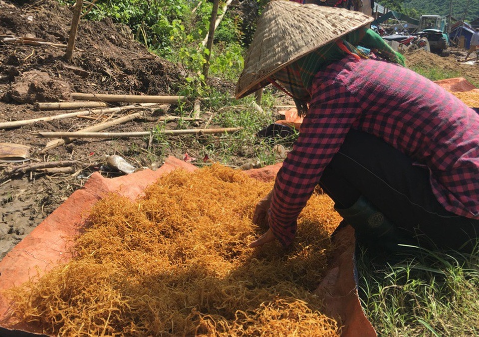 “Mất hết rồi, nhà cũng không còn để về nữa” - 22 Người dân phơi phóng thực phẩm còn sót lại