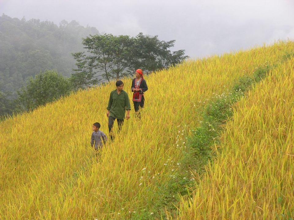 Vẻ đẹp bình dị vùng cao Tây Bắc