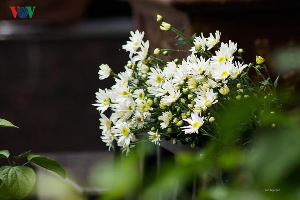 Đẹp nao lòng sắc màu thu Hà Nội - 11