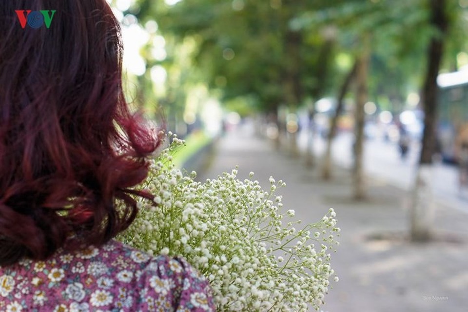 Đẹp nao lòng sắc màu thu Hà Nội - 19