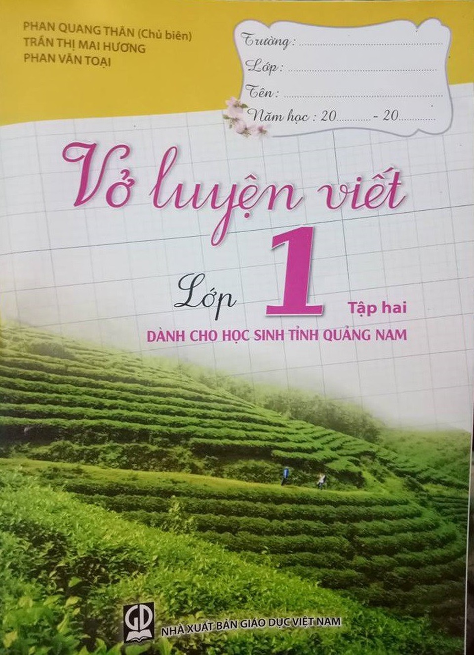 Những cuốn tập luyện viết “Chỉ dành cho học sinh Quảng Nam”