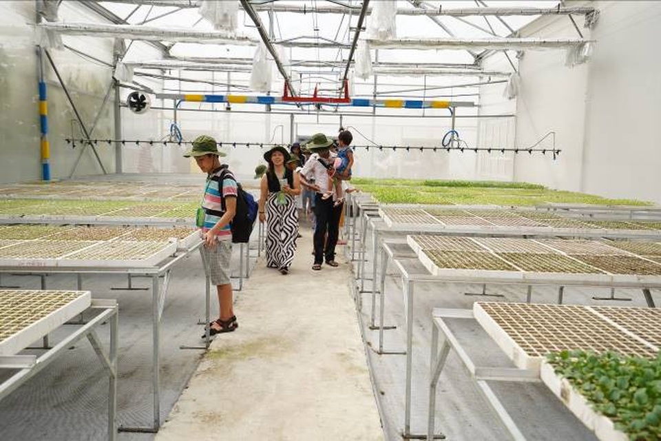 Tận mắt khám phá hành trình nông sản từ nông trường tới mâm cơm gia đình - 2 Tận mắt khám phá hành trình nông sản từ nông trường tới mâm cơm gia đình - 2