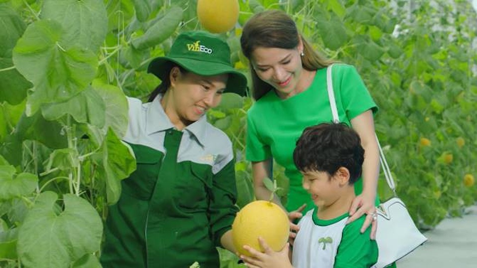 Tận mắt khám phá hành trình nông sản từ nông trường tới mâm cơm gia đình - 7 Tận mắt khám phá hành trình nông sản từ nông trường tới mâm cơm gia đình - 7