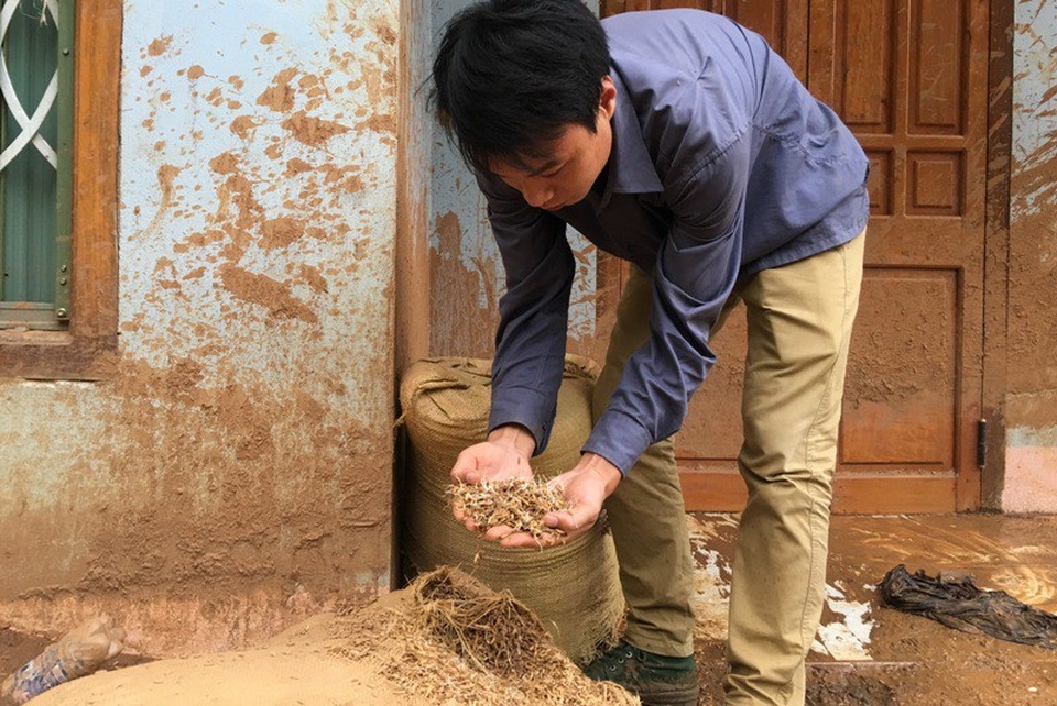 Trưởng ban Tổ chức trung ương lội bùn vào với bà con vùng lũ Mường Lát - 8
Những bao lúa đã mọc mầm sau lũ.