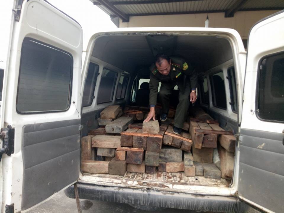 Rượt đuổi xe chở gỗ lậu như phim hành động - 2