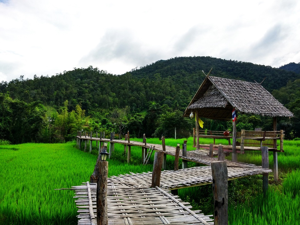 Bamboo Brigde ở Pai