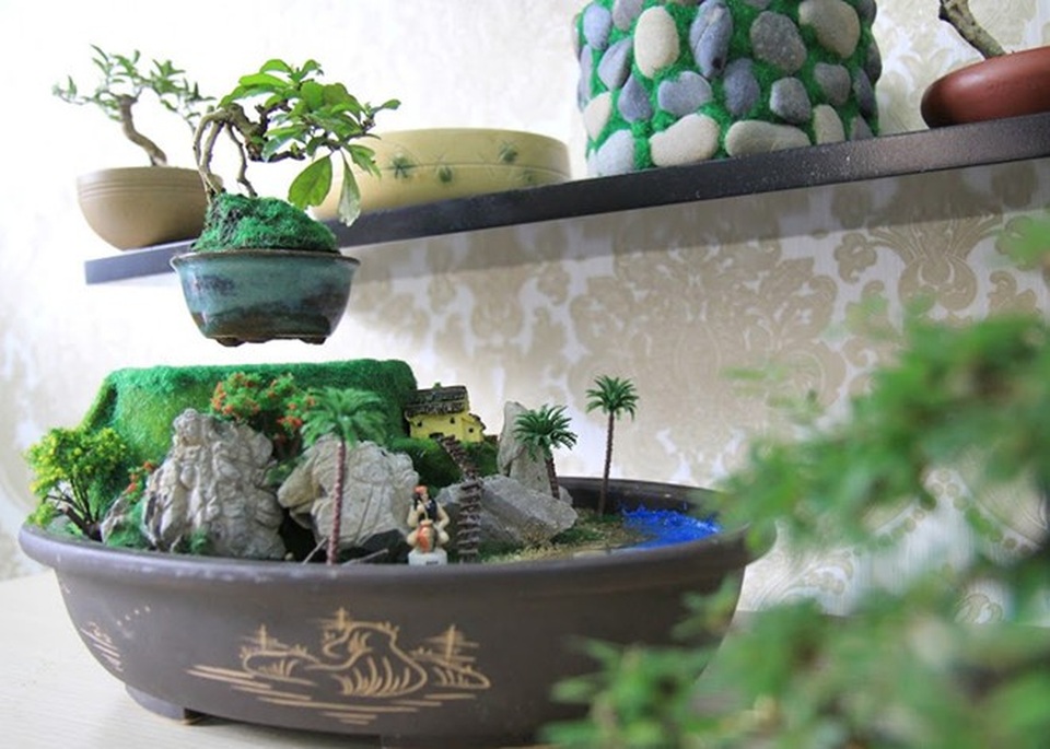 Hình dáng độc lạ, bon sai "bay lơ lửng" hút khách chơi Tết - 1 Dù mới du nhập về Việt Nam nhưng những sản phẩm bonsai bay đã tạo nên cơn sốt và được nhiều người ưa chuộng. Ảnh: Happy Trees