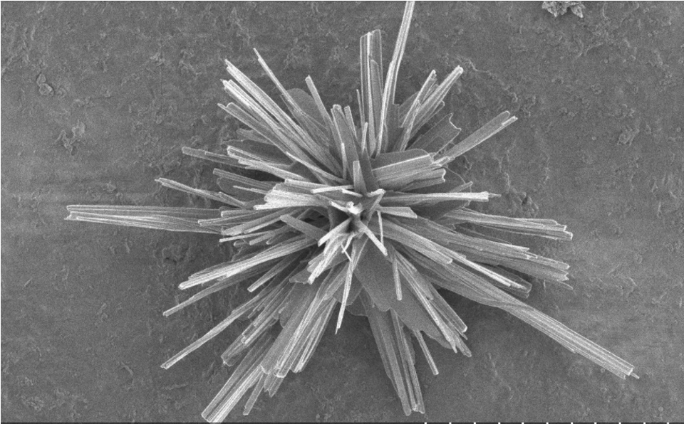 
Bề mặt của một chất xúc tác bằng đồng đỏ, cấu trúc nano chuyển cacbon dioxit thành Etylen.
