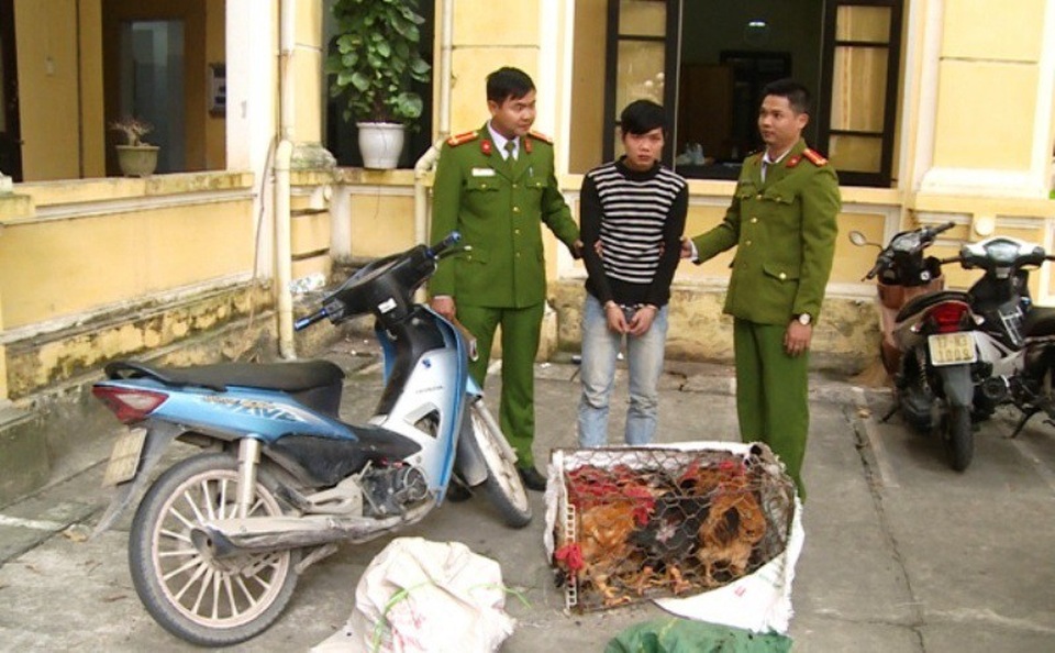 Bắt đối tượng truy nã gây ra 150 trộm cắp tài sản - 1 Đối tượng Nguyễn Văn Thành tại cơ quan Công an (ảnh: Công an Thái Bình)