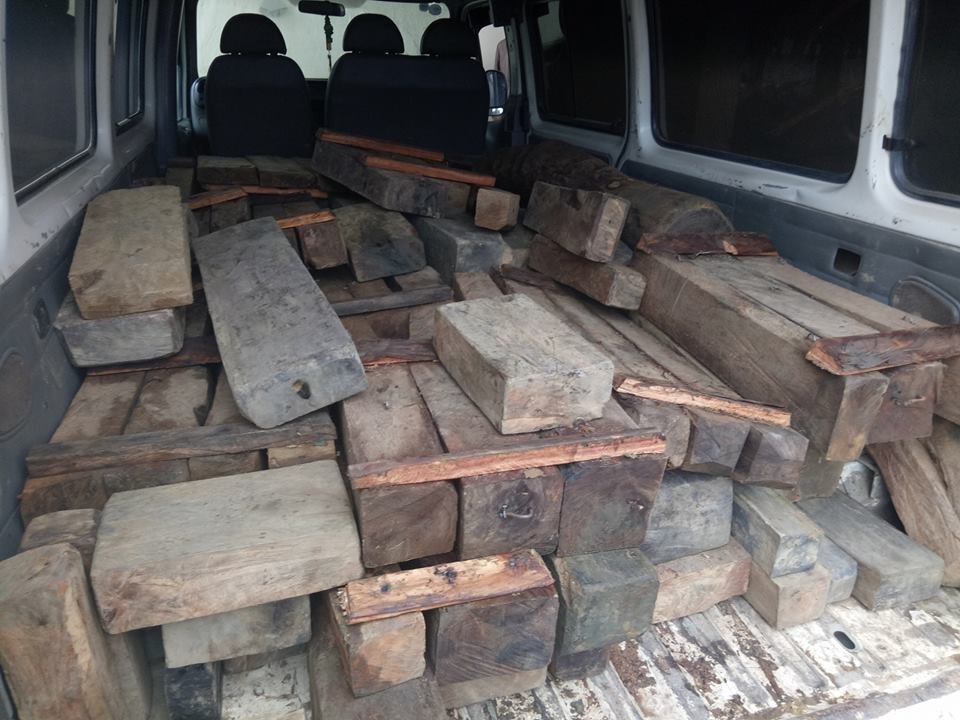 Toàn bộ số gỗ mà lâm tặc bỏ lại